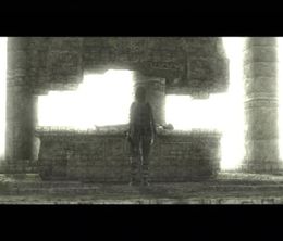 image-https://media.senscritique.com/media/000023222479/0/shadow_of_the_colossus.jpg