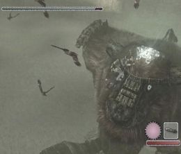 image-https://media.senscritique.com/media/000023222481/0/shadow_of_the_colossus.jpg