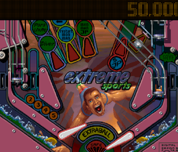 image-https://media.senscritique.com/media/000023222490/0/pinball_illusions.png