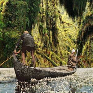 Deep Forest (Single)