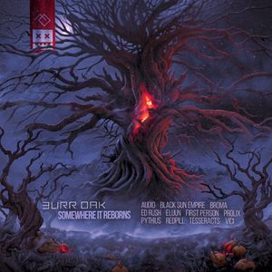 Supreme Entity (Ed Rush remix)