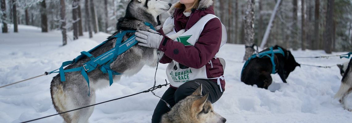 Cover Noël dans le Grand Nord