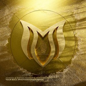 Your Soul (Photographer Remix)