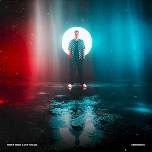 Never Know (Love You So) (Single)