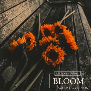 Bloom (acoustic) (Single)