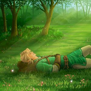 Zelda & Sleep: Ensemble Collection