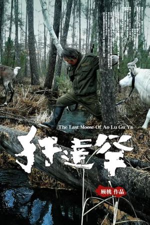 Le dernier élan d'Aoluguya