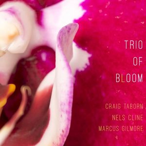 Trio of Bloom (feat. Nels Cline, Craig Taborn & Marcus Gilmore)