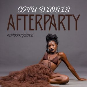 Afterparty (Single)