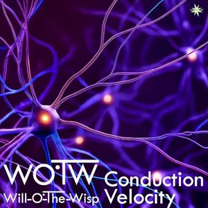 Conduction Velocity (Single)