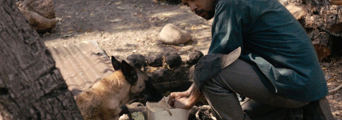 Cover La Couleuvre noire