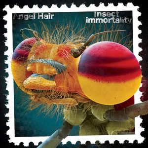 Insect Immortality