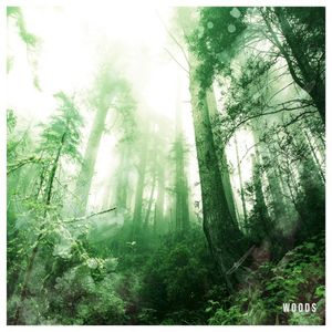 Woods (Single)