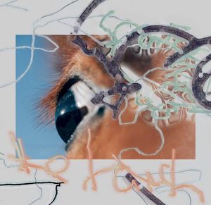 shape of raw to come (Single)