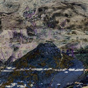 The Didge (Single)