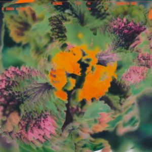 Where I End (Single)