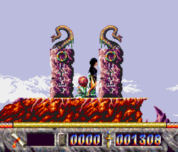 image-https://media.senscritique.com/media/000023230375/0/elvira_the_arcade_game.png