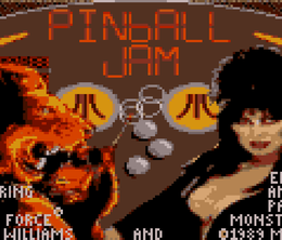 image-https://media.senscritique.com/media/000023230379/0/pinball_jam.png