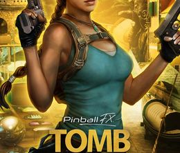 image-https://media.senscritique.com/media/000023230631/0/pinball_fx_tomb_raider_pinball.jpg