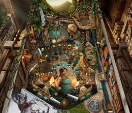 image-https://media.senscritique.com/media/000023230636/0/pinball_fx_tomb_raider_pinball.jpg