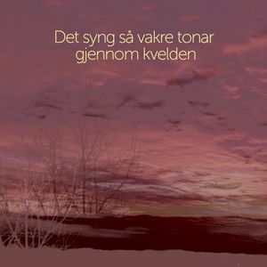Det syng så vakre tonar gjennom kvelden (Single)