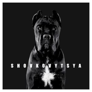 Shovkovytsya (Single)