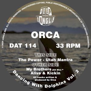 Dancing With Dolphins Vol. 2 (EP)