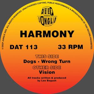 Vision / Dogs / Wrong Turn (EP)