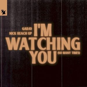 I'm Watching You (So Many Times) (Single)