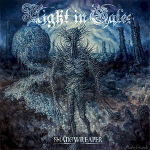 Into the Evergrey (Single)