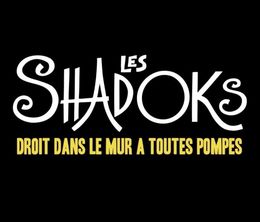 image-https://media.senscritique.com/media/000023233330/0/les_shadoks_droit_dans_le_mur_a_toutes_pompes.jpg