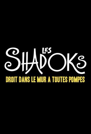 Les Shadoks, droit dans le mur à toutes pompes