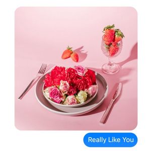 Really Like You (Single)