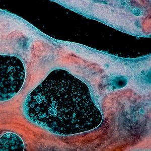 By This River (Single)