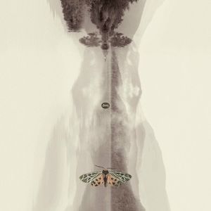 Upper See (Single)