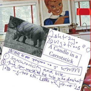 A Candle in a Carrotstick