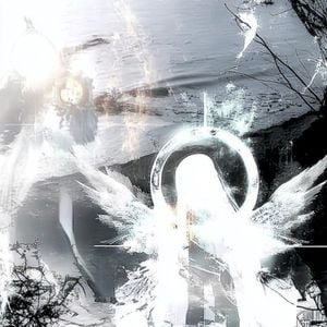 Last Message Received (Single)