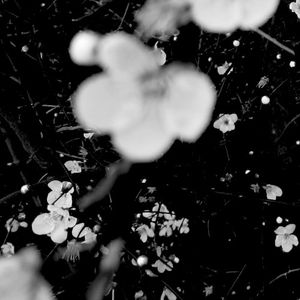 Haciendo cosas raras (Single)