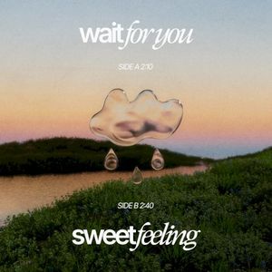 Wait For You / Sweet Feeling (Single)