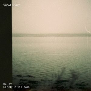 Swallows (Single)