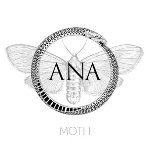 Moth (Single)