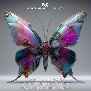 Someone Like You (Paul Denton Remix)