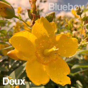 Deux (Single)