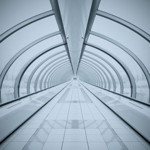 Terminal Phase