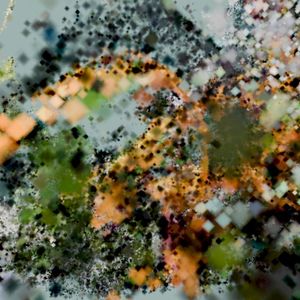 Collapse / Rebirth (EP)