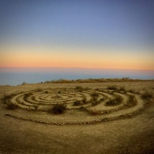 Deep Breakfast 318 - Psilocybin Protocol 2 (The Shadow)