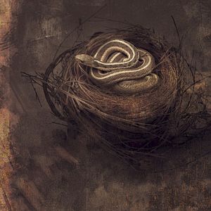 bed/knife (Single)