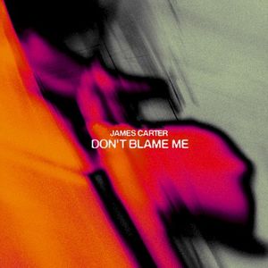 Don't Blame Me (Single)