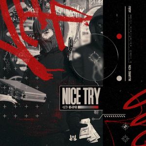 Nice Try (Single)