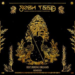 Recurring Dreams (remixed)